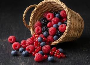 Waldbeeren-Eis